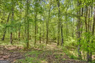 115 Crestview Ln, Newborn, GA 30056 - Photo 45