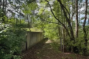 811 Ammons Rd, Waleska, GA 30183 - Photo 15