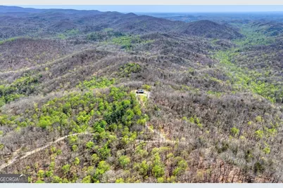 1073 Old Burnt Mountain Road, Ellijay, GA 30536 - Photo 43