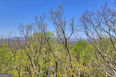 1073 Old Burnt Mountain Road, Ellijay, GA 30536 - Photo 49