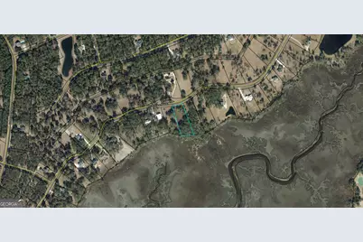 Lot 38 Coopers Point Drive NE, Townsend, GA 31331 - Photo 5