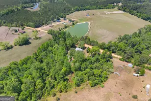 3347 Dickey Rd, Millen, GA 30442 - Photo 29