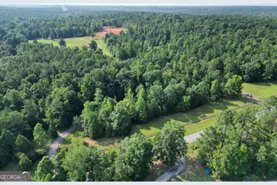 2230 Reese Road #TRACT C, Rutledge, GA 30663 - Photo 5
