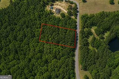 1.3 Acres Walter Phillips Road, Hazlehurst, GA 31539 - Photo 3