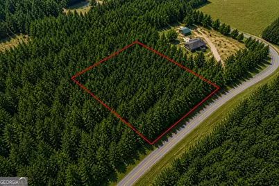 1.3 Acres Walter Phillips Road, Hazlehurst, GA 31539 - Photo 1