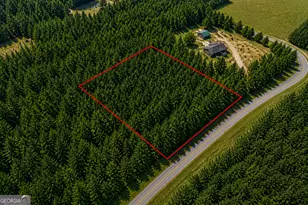 1 3 Acres Walter Phillips Rd, Hazlehurst, GA 31539 - Photo 1