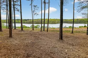 3181 Peeksville Rd, Locust Grove, GA 30248 - Photo 5