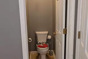 405 Browning Field Way, Hampton, GA 30228 - Photo 29