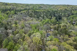 164 Echo Ln, Ellijay, GA 30540 - Photo 53