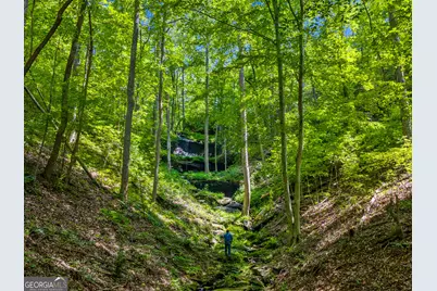 100 Ac Mockingbird Lane, Jasper, GA 30143 - Photo 7