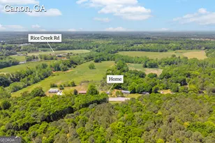 3871 Hwy 17, Canon, GA 30520 - Photo 3