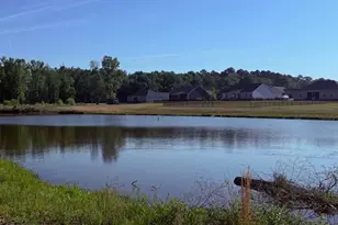 533 Belmont Ave, Statesboro, GA 30458 - Photo 37