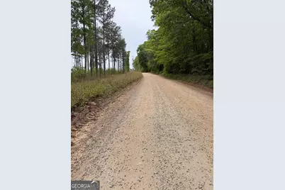 3385 Ga Highway 83 S, Monticello, GA 31064 - Photo 11