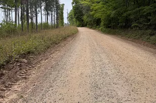 3385 Ga Hwy 83 S, Monticello, GA 31064 - Photo 11