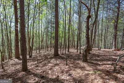 Lot 253 The Cove @ 1300, Blairsville, GA 30512 - Photo 19