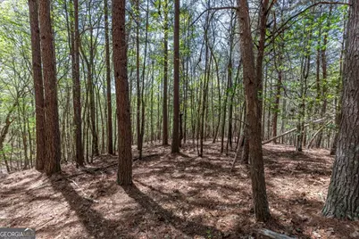 Lot 253 The Cove @ 1300, Blairsville, GA 30512 - Photo 29