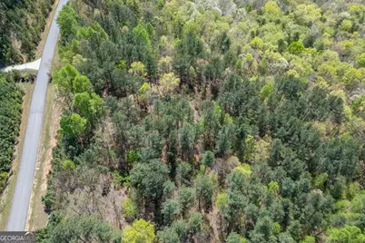 Lot 253 The Cove @ 1300, Blairsville, GA 30512 - Photo 33