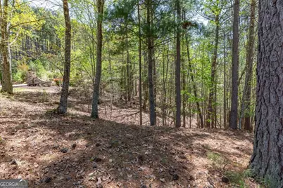 Lot 253 The Cove @ 1300, Blairsville, GA 30512 - Photo 13