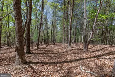 Lot 253 The Cove @ 1300, Blairsville, GA 30512 - Photo 21