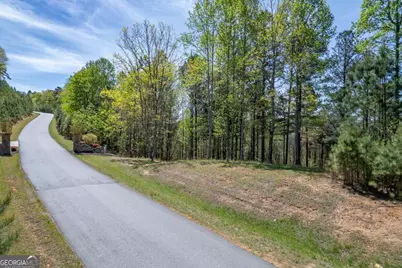 Lot 253 The Cove @ 1300, Blairsville, GA 30512 - Photo 7