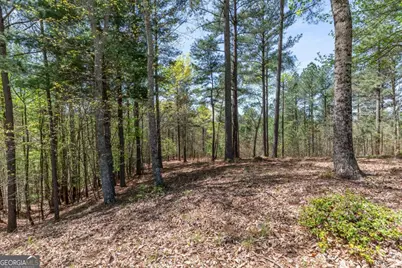 Lot 253 The Cove @ 1300, Blairsville, GA 30512 - Photo 11
