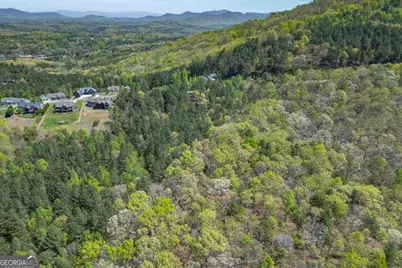 Lot 253 The Cove @ 1300, Blairsville, GA 30512 - Photo 47