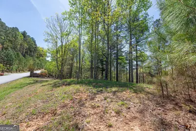 Lot 253 The Cove @ 1300, Blairsville, GA 30512 - Photo 9