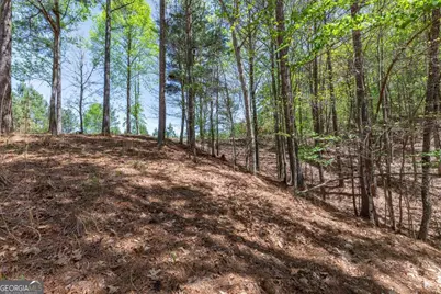 Lot 253 The Cove @ 1300, Blairsville, GA 30512 - Photo 15