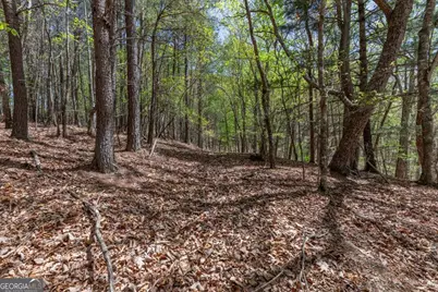 Lot 253 The Cove @ 1300, Blairsville, GA 30512 - Photo 23