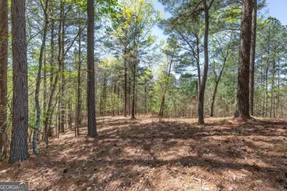 Lot 253 The Cove @ 1300, Blairsville, GA 30512 - Photo 17