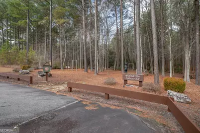 Lot 253 The Cove @ 1300, Blairsville, GA 30512 - Photo 39