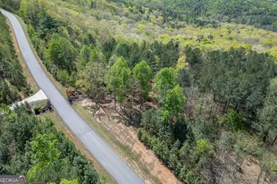 Lot 253 The Cove @ 1300, Blairsville, GA 30512 - Photo 31