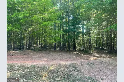 0 Fincher Road, Covington, GA 30016 - Photo 3