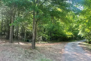 0 Fincher Rd, Covington, GA 30016 - Photo 1