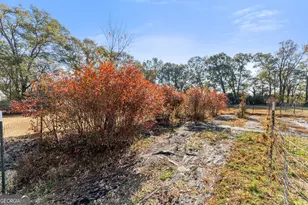 670 S Railroad Ave, Carlton, GA 30627 - Photo 35