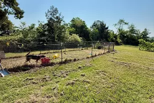 3856 Ga Hwy 231, Harrison, GA 31035 - Photo 9