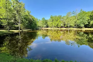 660 Hatchee Ridge Rd, Dublin, GA 31021 - Photo 65