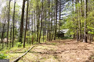 1020 Brenda Ln, Madison, GA 30650 - Photo 73