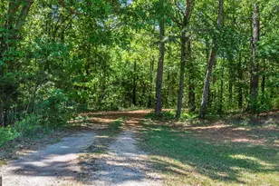 6290 Hwy 54, Sharpsburg, GA 30277 - Photo 57