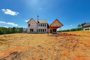46 Tea House Ln, Newnan, GA 30263 - Photo 7