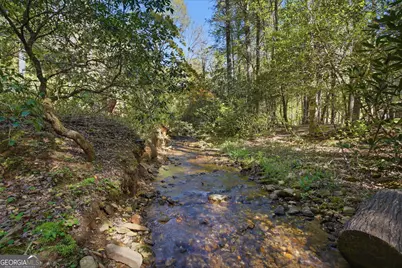 15 Salmon Road, Blairsville, GA 30512 - Photo 39