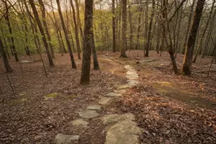235 Bunratty Ct, Roswell, GA 30076 - Photo 51