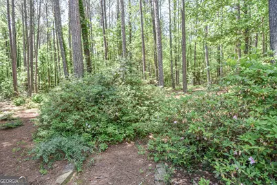 75 Katies Court, Meansville, GA 30256 - Photo 69