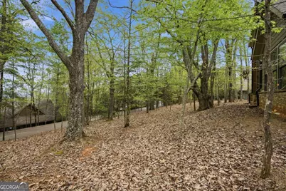 83 Summit Drive W, Big Canoe, GA 30143 - Photo 45