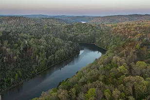 84 Ridge Line Tr, Ellijay, GA 30540 - Photo 49