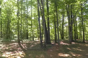 2627 Cole Rd, Carnesville, GA 30521 - Photo 31