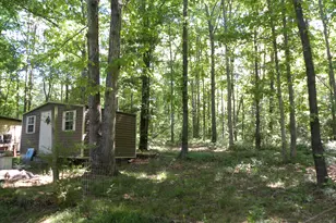 2627 Cole Rd, Carnesville, GA 30521 - Photo 29