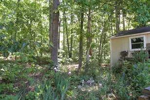 2627 Cole Rd, Carnesville, GA 30521 - Photo 35