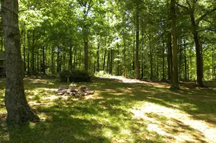 2627 Cole Rd, Carnesville, GA 30521 - Photo 43