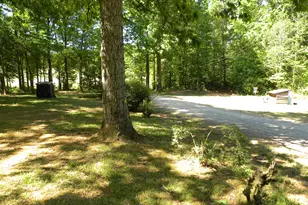 2627 Cole Rd, Carnesville, GA 30521 - Photo 45